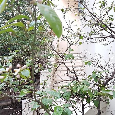 Errathens Aegean Apartment - Athens Center, 5 Bd, 2 Bath Екстер'єр фото