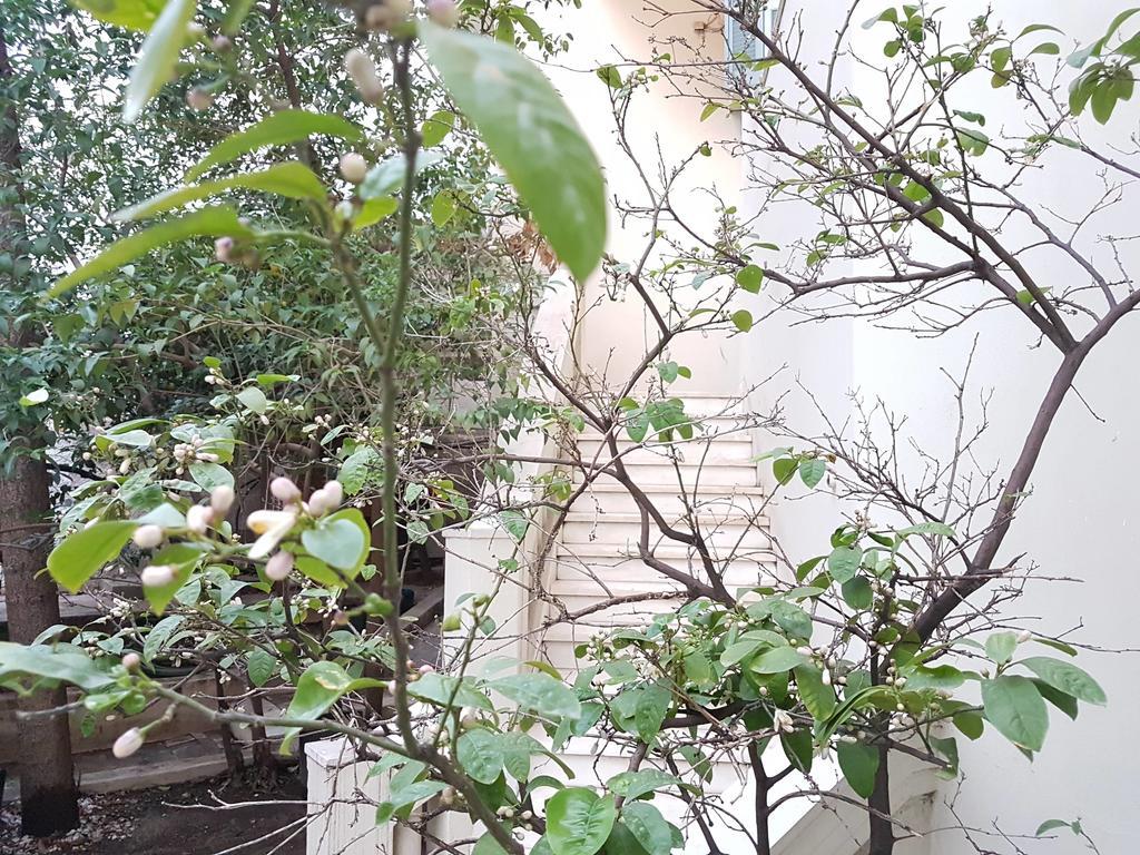 Errathens Aegean Apartment - Athens Center, 5 Bd, 2 Bath Екстер'єр фото
